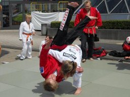 Bilder aus 2011